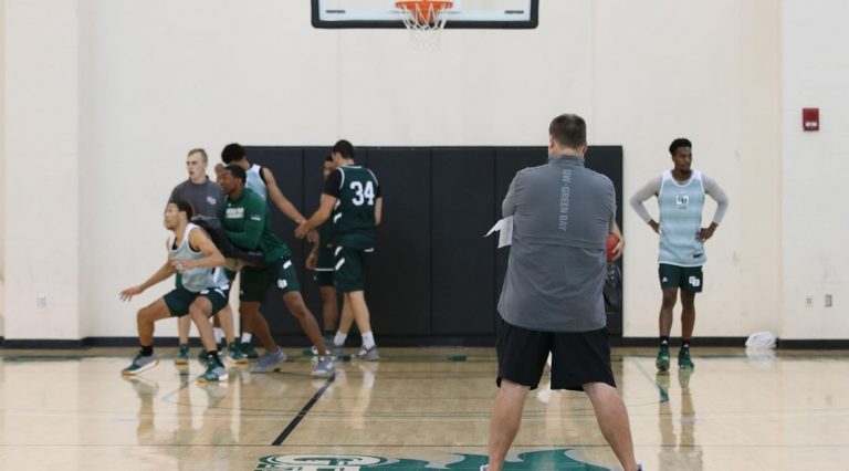 Green Bay Phoenix 2019-20 Season Preview