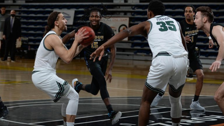 Vikings earn share of regular season conference title