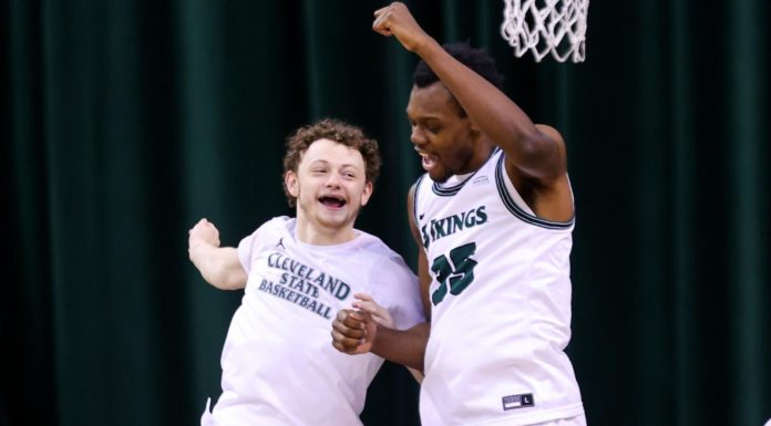 Vikings smother Phoenix and Panthers