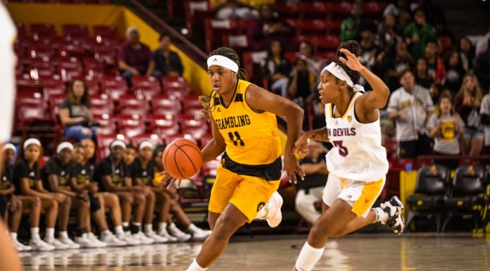 Vikings land Grambling State leading scorer Maples