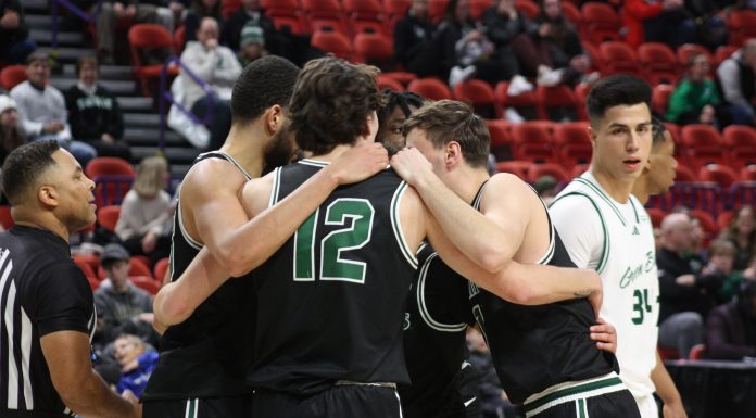 Vikings struggle in Wisconsin snow, fall to eighth in conference
