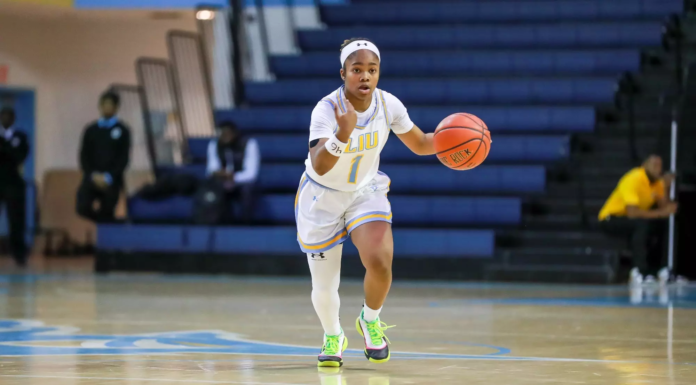 Detroit Mercy Titans WBB 2024-25 Preview
