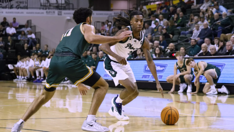 Rock Bottom? Phoenix fall to Michigan Tech