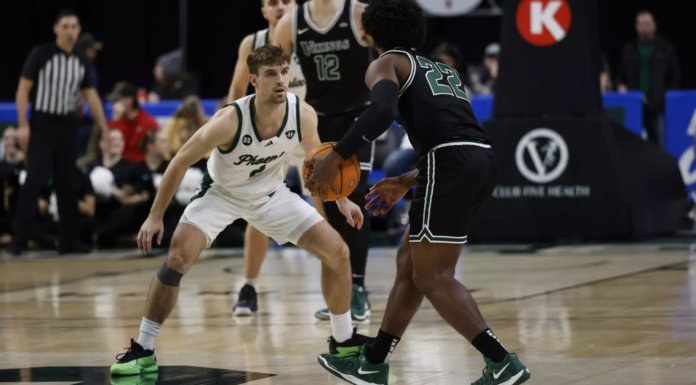 Phoenix fall to open 2025, make roster moves
