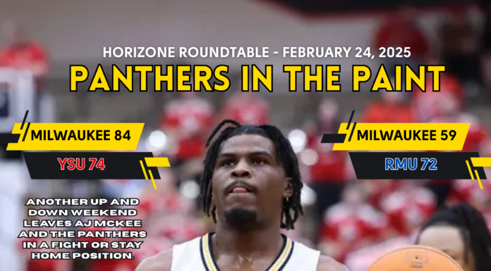 Questions, Questions & More Questions for Panthers