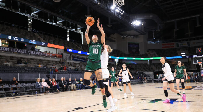 Vikings stampeded by Purdue Fort Wayne in HL semifinals