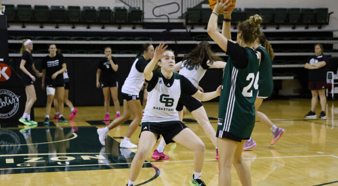 2025-26 HoriZone Roundtable #HLWBB Preseason All-Horizon League Teams