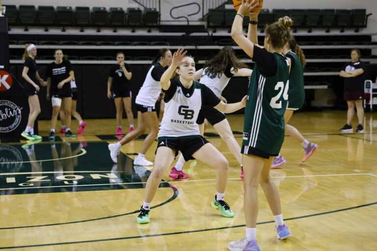 2025-26 HoriZone Roundtable #HLWBB Preseason All-Horizon League Teams
