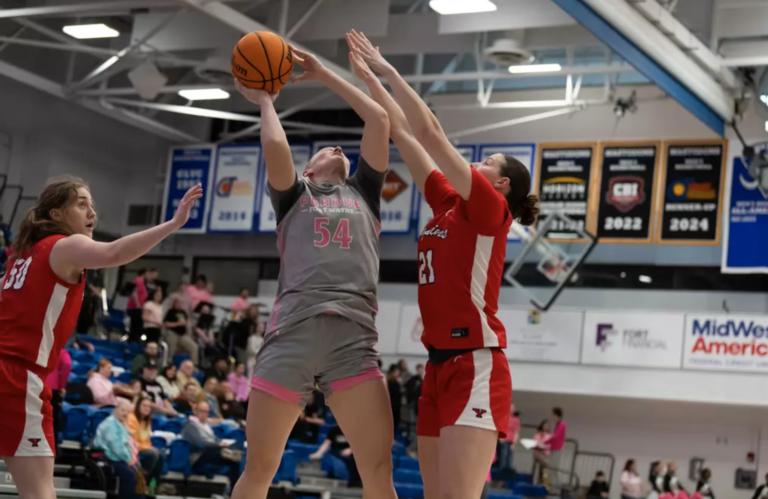 Nelson’s 21 Points Dwarfed by Gregory’s Career Day, ‘Dons Fall Again at Home to YSU
