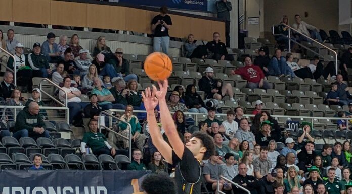Norse Lets the Shots Fly, Drop Phoenix to Advance