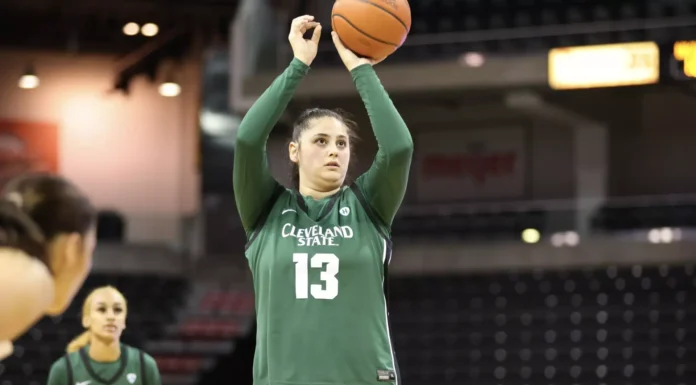 Zingaro Named HL Newcomer of the Year, Two Other Vikings Honored