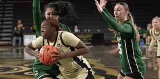 2026-27 HoriZone Roundtable #HLWBB Preseason Award Winners