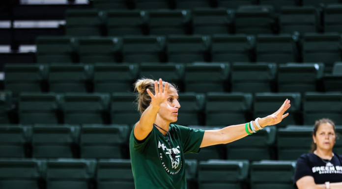 Green Bay Phoenix WBB 2026-27 Preview